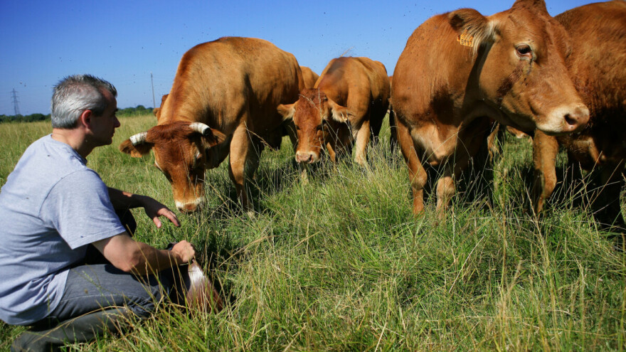Poljoprivrednici RS predložit će set mjera za zaštitu domaće proizvodnje