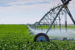 Utjecaj pH i tvrdoće vode na učinkovitost pesticida