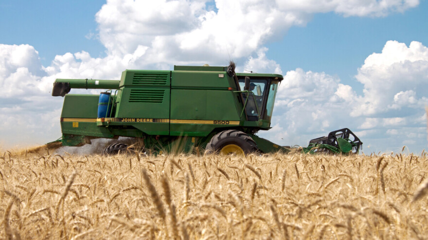 Ove sedmice blago osvježenje - hoće li pogodovati žetvi pšenice?