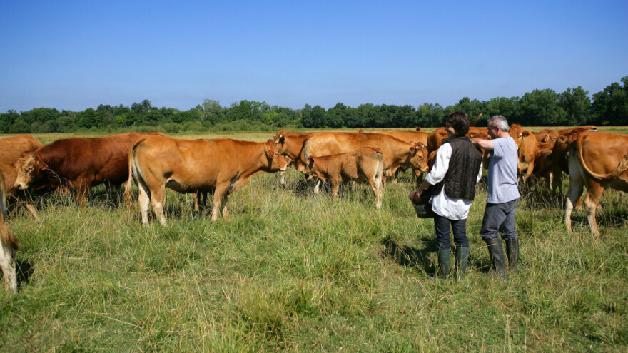 Banja Luka: Preko 900 hiljada KM za podsticaje poljoprivrednicima