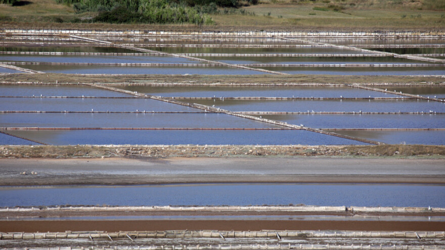 EK odobrila dvije nove oznake geografskog porijekla