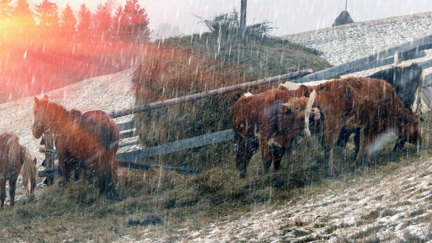 Stiže zima sa brojnim olujama?