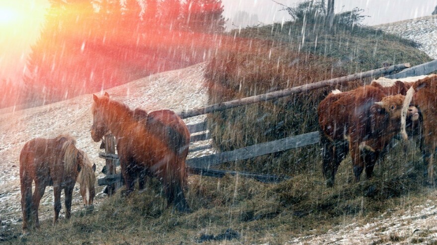 Decembar u "plusu", ali padavina ne manjka: Kiša, mraz i snijeg do vikenda