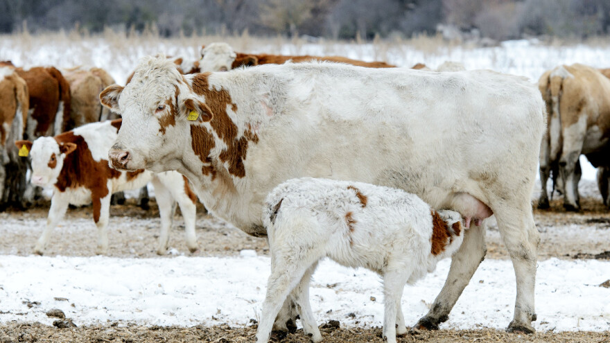Dodatni poticaji za ekološke prakse - EK objavila popis