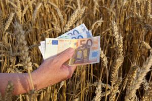 EK predložila iznimnu mjeru - poljoprivrednicima do 15.000 eura potpore