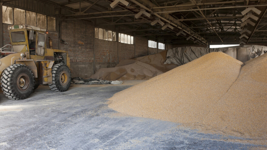 Na Produktnoj berzi najviše se trgovalo pšenicom po ceni od 20,08 din/kg