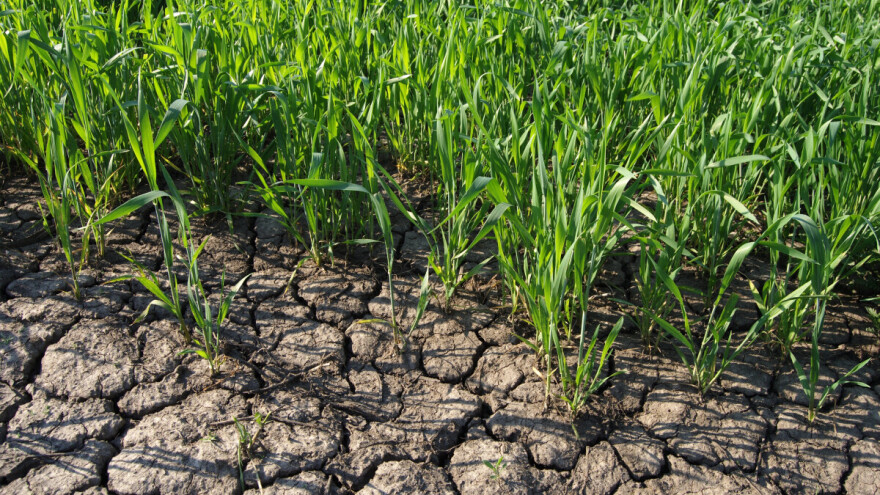 Sezonska prognoza: Čeka nas proljeće toplije od prosjeka, a s njim i suša?