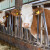 Otvorena su dva javna savjetovanja koja se odnose na mliječno govedarstvo