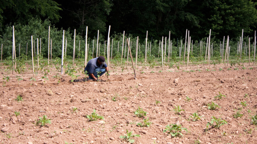 Klimatske promjene ne štede ni bh. poljoprivredu!