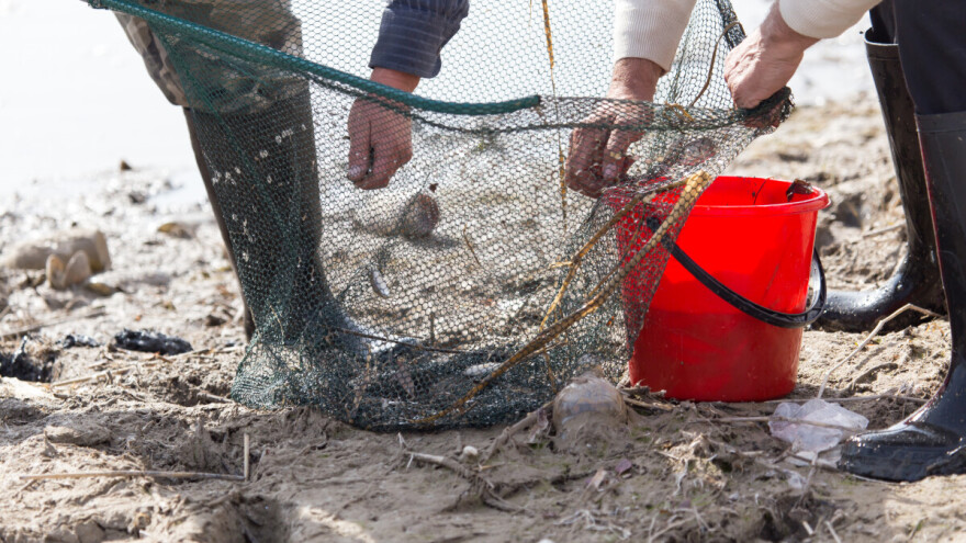 Uhvaćene ribokradice u rezervatu prirode "Gornje Podunavlje"