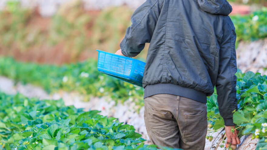 Radnici migranti rade za minimalac i žive u nehumanim uvjetima
