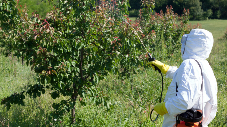 Vreme je za folijarni tretman stabala azotnim đubrivima