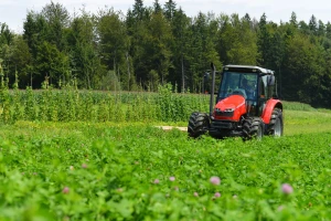 Košenje lucerke - kada i kako? Evo korisnih saveta