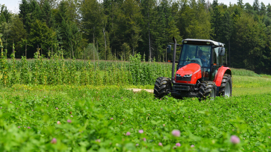 Košenje lucerke - kada i kako? Evo korisnih saveta