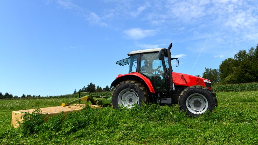 TOP 10 posjednika površina pod travom i travolikom pašom
