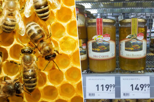 Teglica bagremova meda od 900 grama 150 kuna?