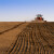 Jesenja sjetva pšenice mogla bi oboriti sve rekorde cijena