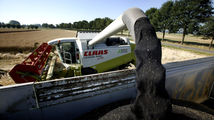 Padaju cijene uljane repice - najniže od kolovoza 2021.