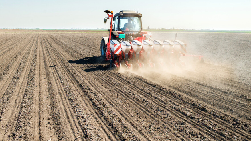 Kada soju sijati prije kukuruza?