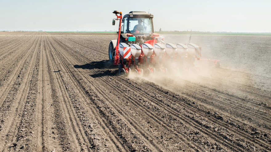 Evo osam saveta za uspešnu setvu soje