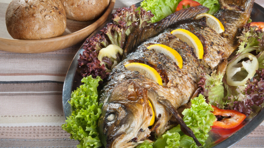 Šaran je neizostavno jelo praznične trpeze - šta ako ima ukus na mulj?
