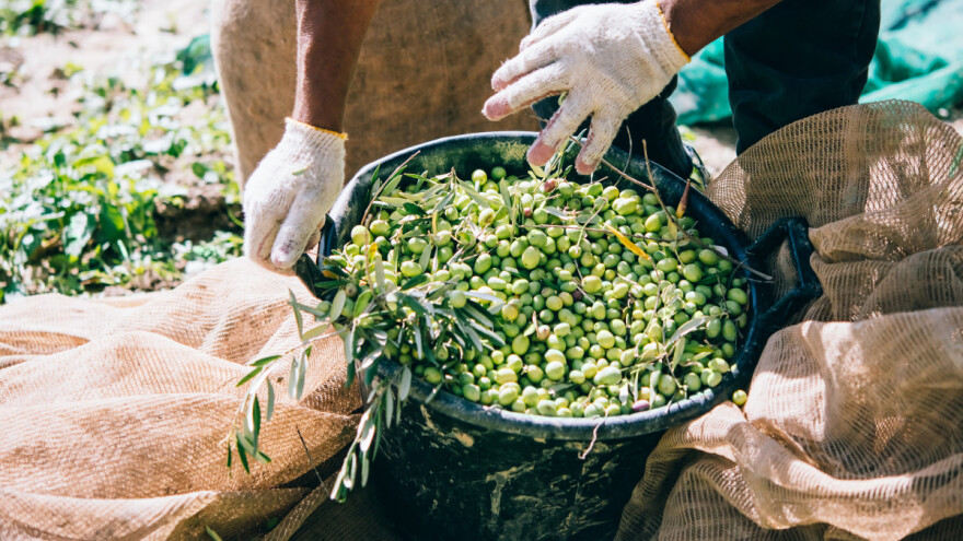 Mjera 21: Izdano i 145 odluka o isplatama MSP-ovima u iznosu od 41,1 milijun kuna
