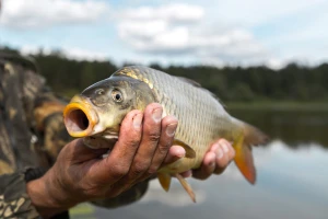 U Kukulju zatekli tri lica u nezakotinom, kasnovečernjem ribolovu
