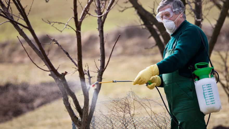 Zimsko prskanje: Preventivne mere radi smanjenja brojnosti štetočina