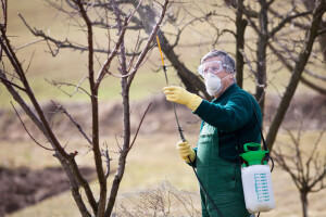 Pravilna upotreba pesticida je ključna za zdravlje bilja, ljudi i životne sredine