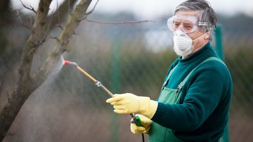 Počnite na vreme sa jesenjom zaštitom voća