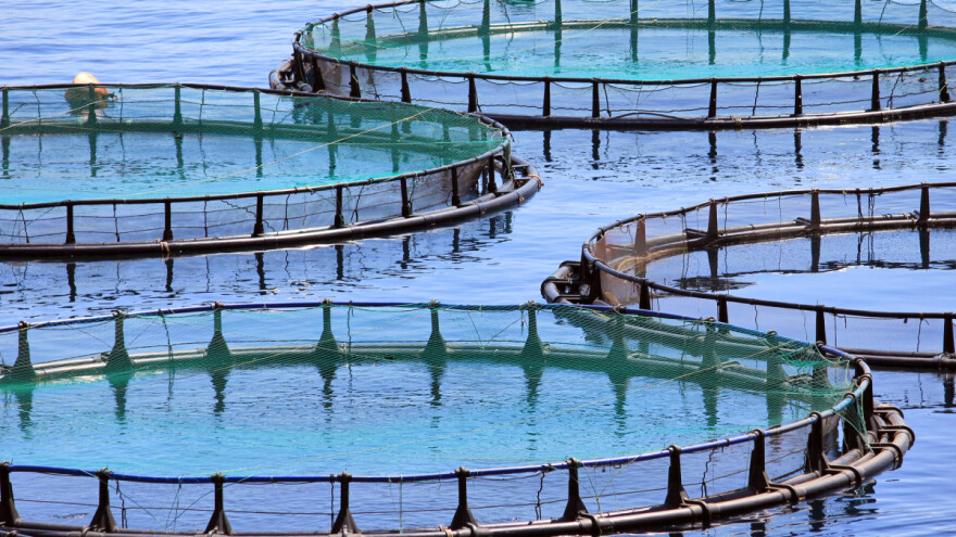 Mjera II.9: Prijelaz na sustave za okolišno upravljanje, reviziju i ekološku akvakulturu