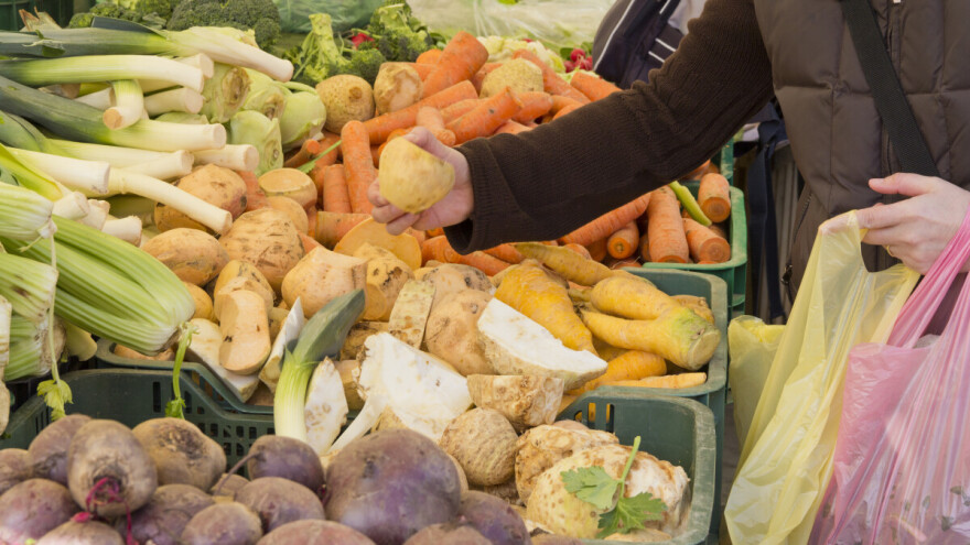 Ukida se upotreba plastičnih kesa u Beogradu