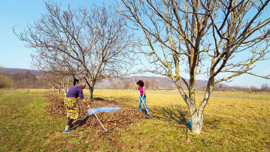 Kako pripremiti vrt, voćnjak i dvorište za novu sezonu?