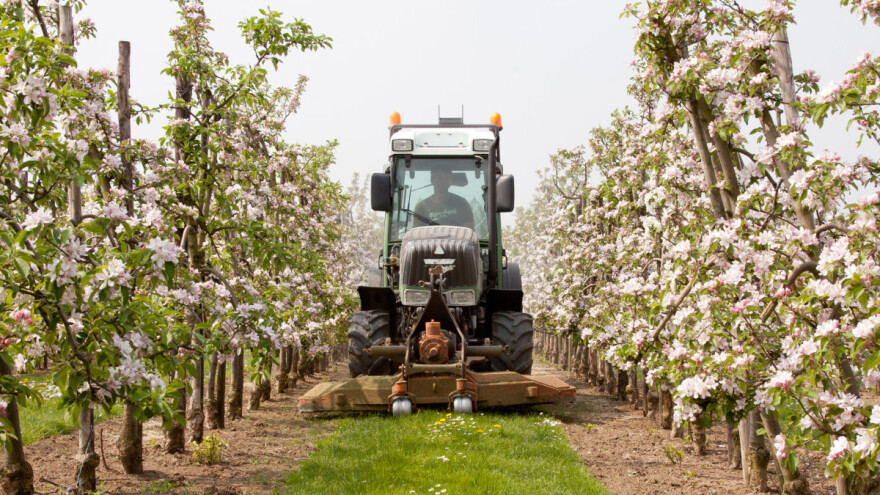 Prednosti zatravljivanja i malčiranja voćnjaka