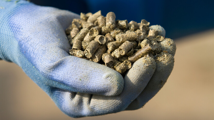 Manja potražnja za stočnom hranom - najviše u svinjogojstvu