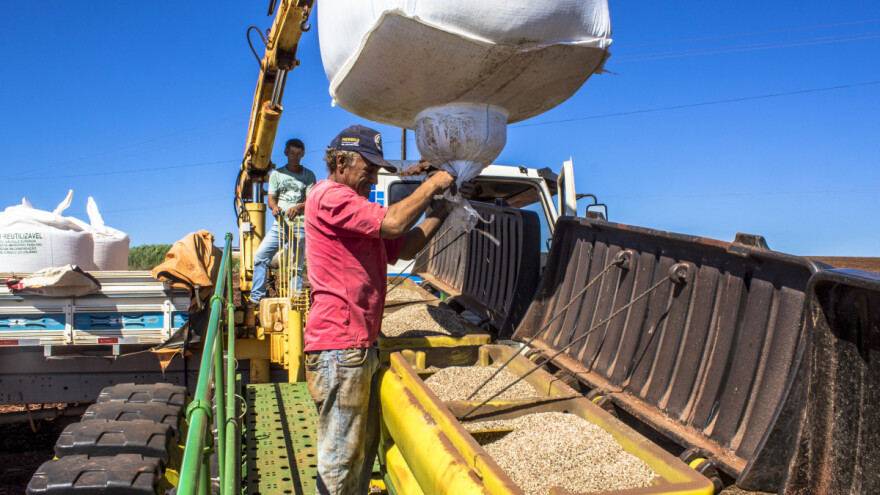 Raste uvoz azotnih đubriva iz SAD-a: Evropa najveći kupac