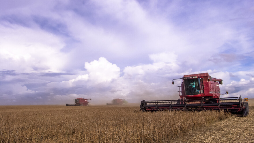 Nova pravila za proizvode koja dolaze iz zemalja gde su šume iskrčene i degradirane