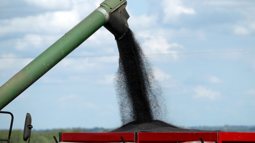 Uljana repica na globalnom tržištu postiže rekordne cijene