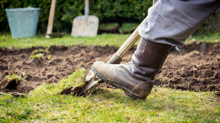 Prolećna setva travnjaka - kada i kako je obaviti