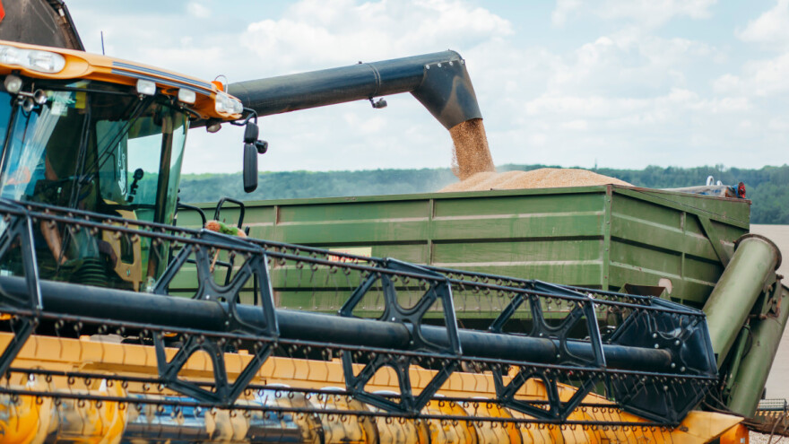 Pšenica u Francuskoj završiće kao stočna hrana, a u Nemačkoj biogas - kako stoji globalno?