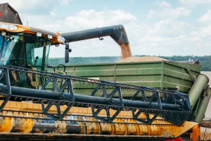 Pšenica u Francuskoj završit će kao stočna hrana, a u Njemačkoj bioplin - kako stoji globalno?