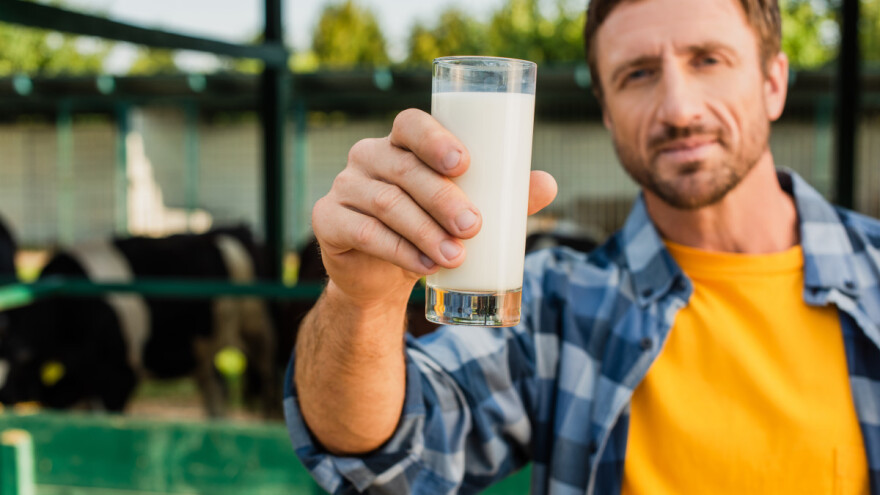 Koje mlijeko je najskuplje, ko je najveći proizvođač, gdje se najviše pije?