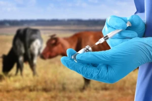 Zaplijenjeni krivotvoreni veterinarski lijekovi u vrijednosti 20.000 eura