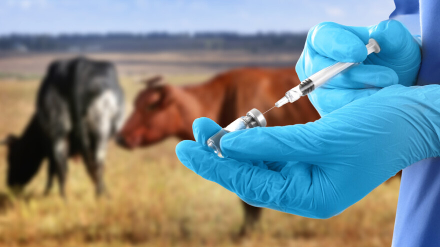 Zaplijenjeni krivotvoreni veterinarski lijekovi u vrijednosti 20.000 eura