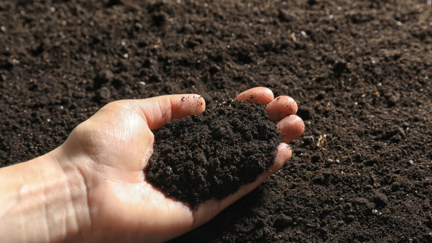 Poboljšanje plodnosti zemljišta za nekoliko meseci ima veze sa proizvodnjom sakea