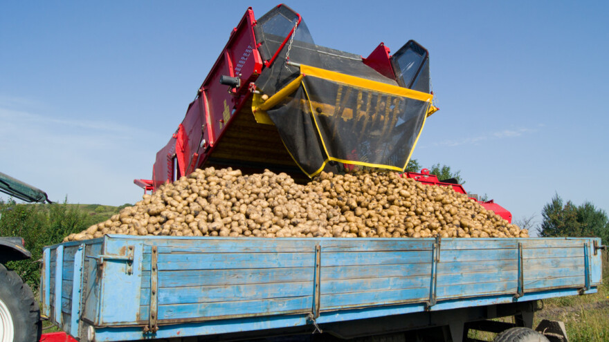 Istorijsko smanjenje površina pod krompirom