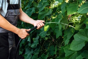Stiže toplinski val: Kada nas očekuju temperature i do 40°C?