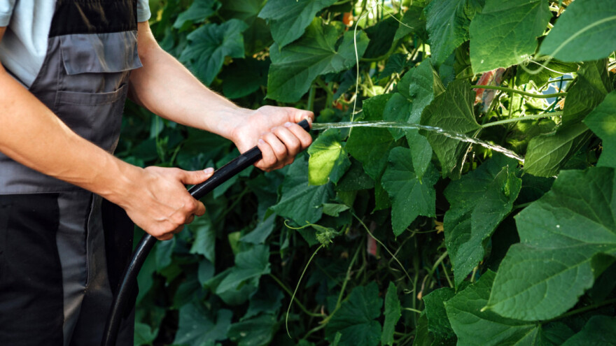 Stiže toplinski val: Kada nas očekuju temperature i do 40°C?