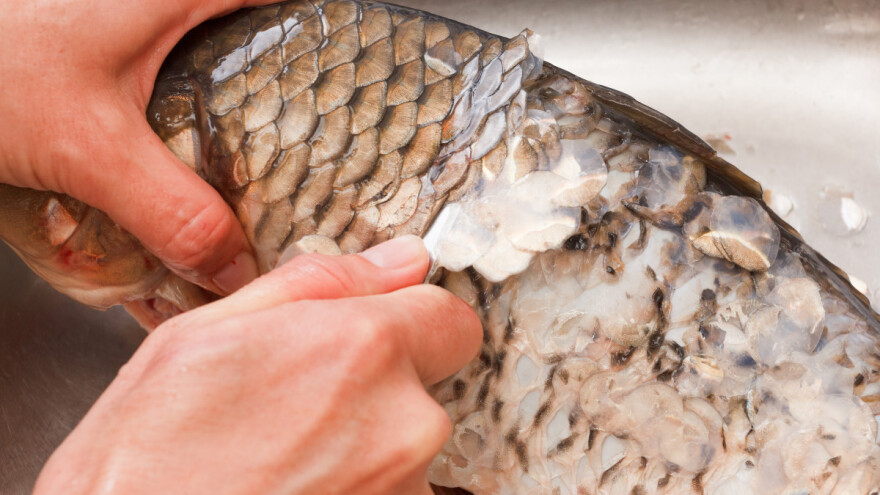 Konzervisanje ribe: Kako obaviti obradu i soljenje?