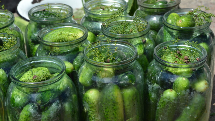 Kiseli krastavci - jednostavan recept za neizostavnu zimnicu